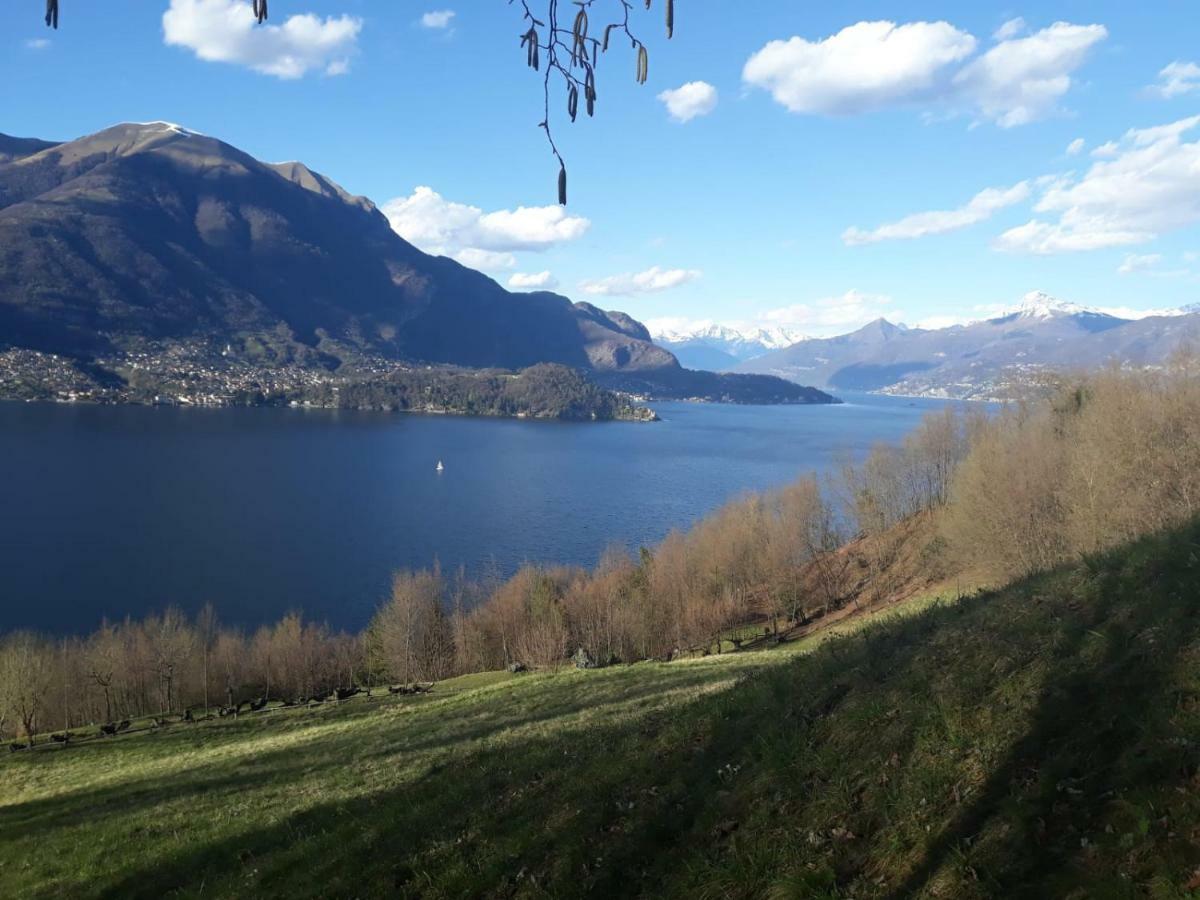 Ca' Eleonora Villa Lezzeno Luaran gambar